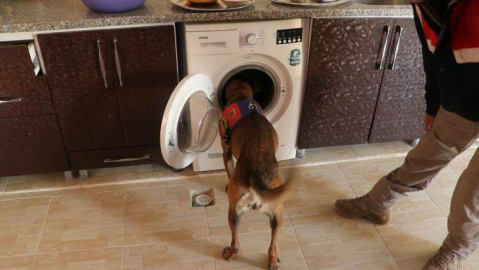 Yalova’da Zehir Tacirlerine “Narkogüç” Operasyonu