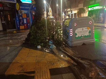 Fırtına Yalova’da Ağaçları Devirdi