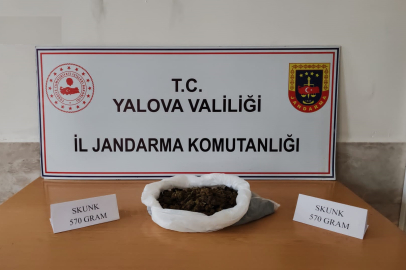 Çiftlikköy’de 570 Gram Skunk Ele Geçirildi