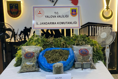 Villayı Uyuşturucu Serasına Dönüştürdüler