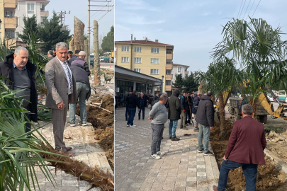 Teşvikiye Çarşı Projesi’nde Peyzaj Çalışmaları Devam Ediyor