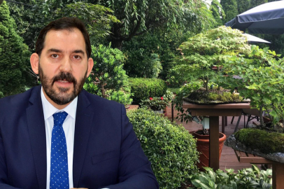 81 İlin Ağaçlarından Bonsai Koleksiyonu Oluşturulacak