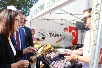 Kivi Festivali'nde Geri Sayım Başladı