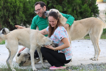 Veteriner İşleri Müdürlüğü’nden Yeni Bir Proje