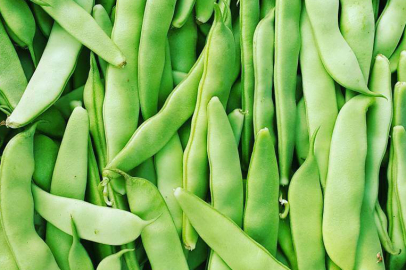 Mart Ayının Zam Şampiyonu Taze Fasulye Oldu