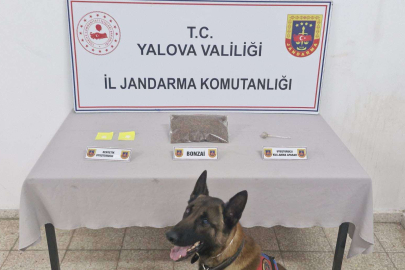 302 Gram Bonzai Ele Geçirildi