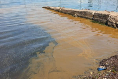 Deniz Kirliliğine Sebep Olan Fabrikaya İnceleme