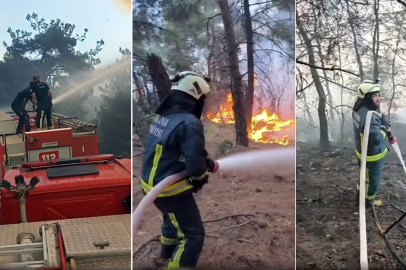 Yalova’dan Bursa’daki Orman Yangınına Destek