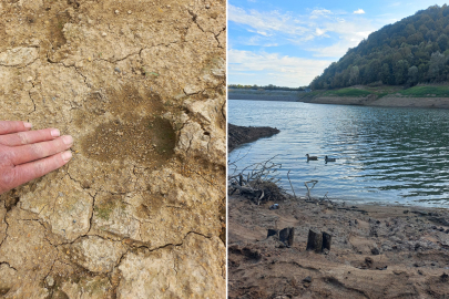 Ortaburun Tabiat Parkı’nda Çeşitlilik Artıyor