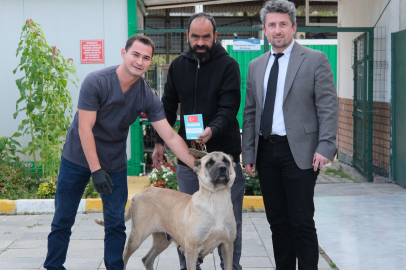Çiftlikköy Veterinerleri Şila’yı Hayata Bağladı