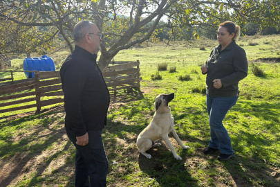 Yalova’da 17 Binden Fazla Evcil Hayvana Çip Takıldı