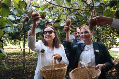 Kivi Hasadı’na Törenle Başlandı