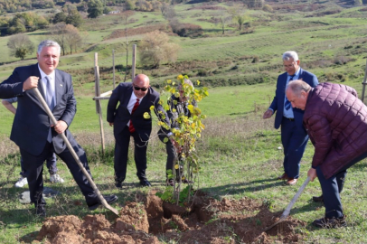 10 Kasım Hatıra Ormanı Oluşturuldu