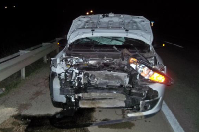 Yalova’da Domuza Çarpan Araç Kullanılamaz Hale Geldi