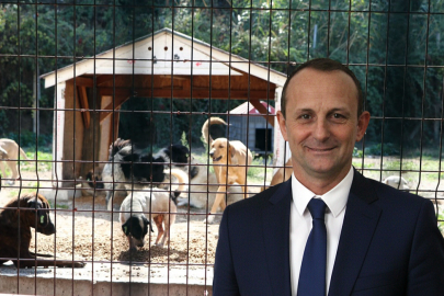 “Hayvanseverlerimizden de Destek Bekliyoruz”