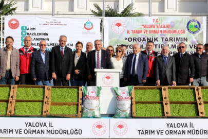 Çiftçilere 359 Bin Fide Dağıtıldı