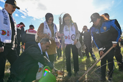 Yüzlerce Fidan Şehitler İçin Toprakla Buluştu