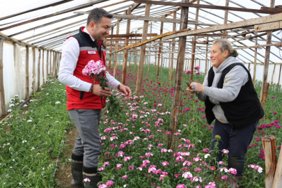 Şebboy Üretiminde Türkiye Birincisiyiz