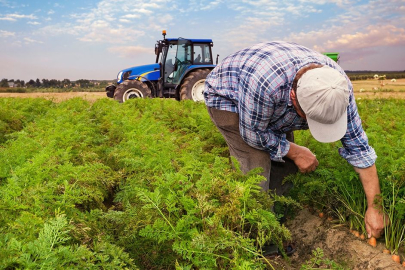 Hibeler Yüzde 70'e Kadar Yükseltildi