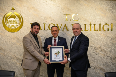 Demiryürek'ten Vali Usta'ya Ziyaret