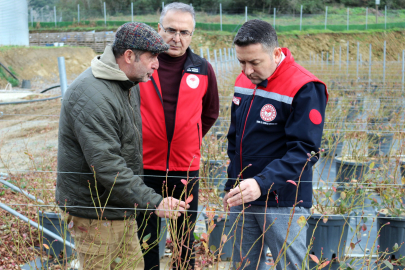 İlmeç Yaban Mersini Tesisini Gezdi