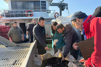 Yalova’nın "Organik Midye"Leri Japonya’nın Radarında