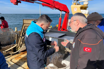 Mustafa İlmeç Midye Çiftliklerini İnceledi