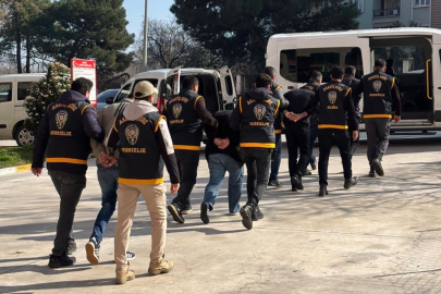 Yalova Ve İstanbul'da Kasa Farelerine Şafak Baskını