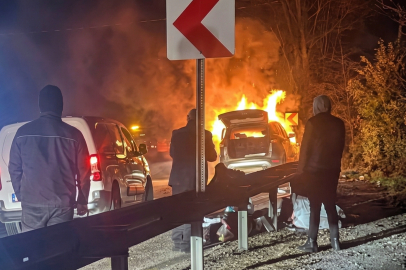 Süpürgelik Mevkiinde Otomobil Alevlere Teslim Oldu