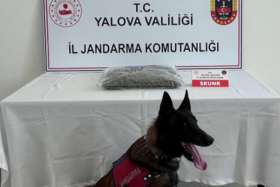 Operasyonda 1,5 Kilogram Skunk Ele Geçirildi
