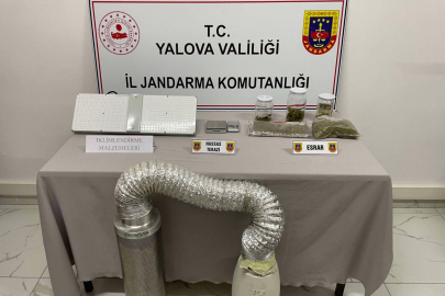 Lüks Daireyi Kenevir Serasına Çevirdiler