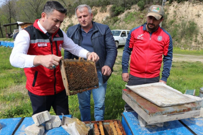 İlmeç Arıcıları Ziyaret Etti