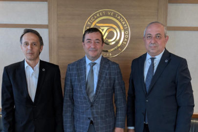 Kivi Festivali İçin Güç Birliği