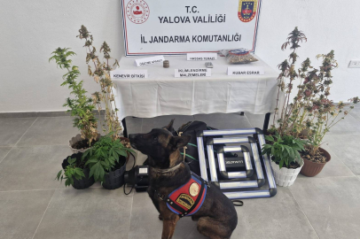 Evi Seraya Çeviren Zehir Tacirine Operasyon