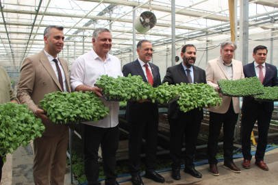 Yalova’da Çiftçilere 950 Bin Adet Fide Dağıtıldı