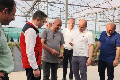 Kümeleşme Modeli Hakkında Bilgi Aldı