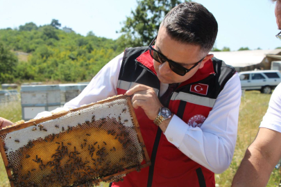 İlmeç Arıcıların Sorun Ve Taleplerini Dinledi
