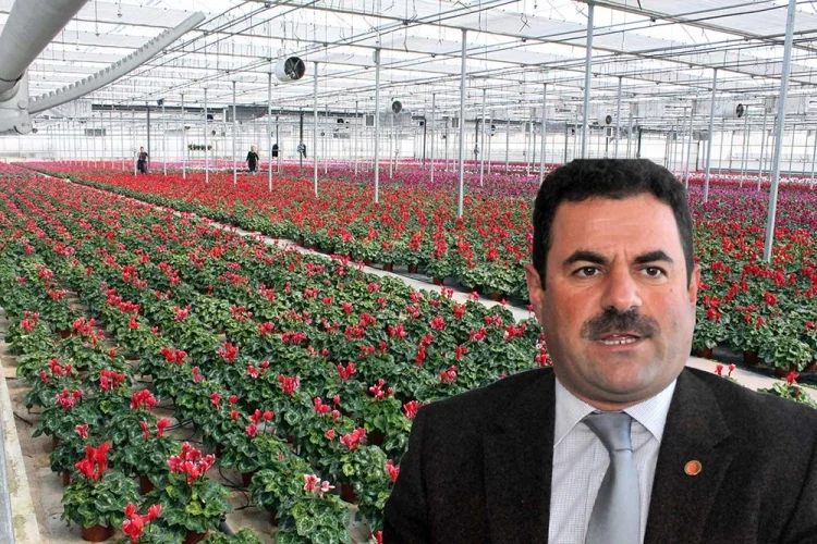 Çiçek Üreticisi Artan Maliyetten Kaygılı