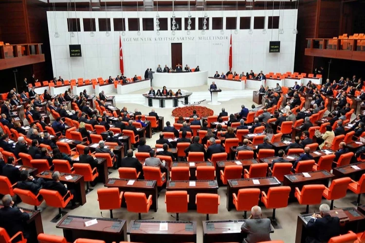 MHP İlin Sorunlarını Meclise Taşıdı