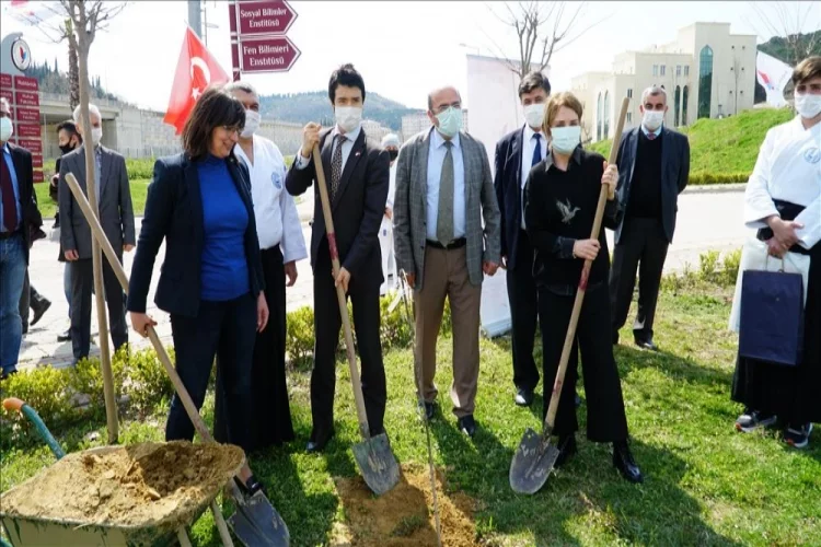 “Türk Japon Dostluk Ve Hatıra Ormanı”na İlk Ağaçları Dikildi