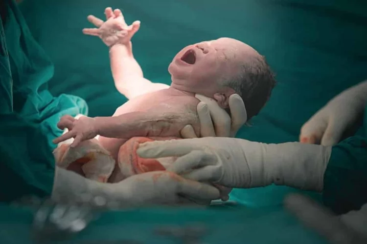 Yalova'da 2020’de 2 Bin 847 Bebek Doğdu