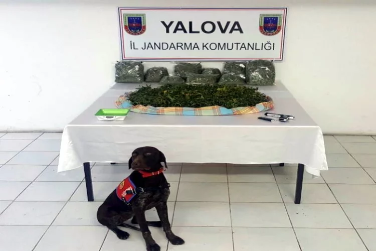 Yalova'da Skunk Adlı Yeni Nesil Uyuşturucu Ele Geçirildi