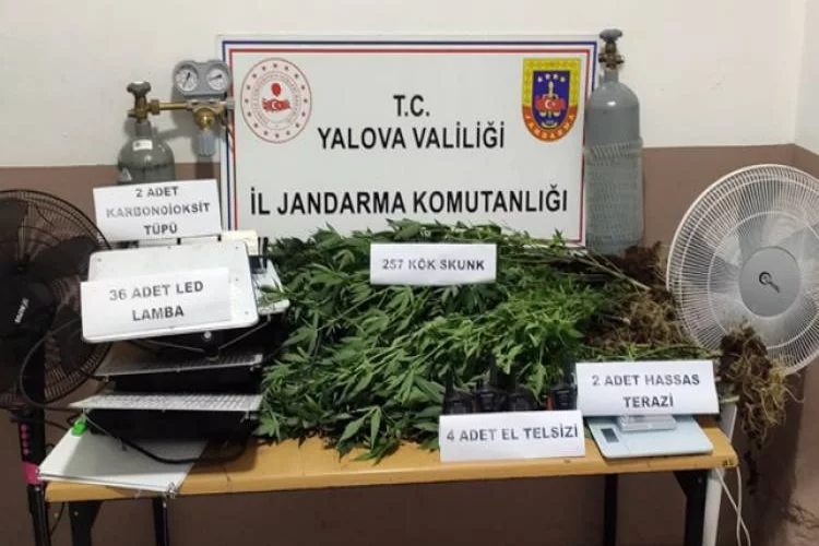 Yalova’da Uyuşturucu Operasyonu: 2 Tutuklama