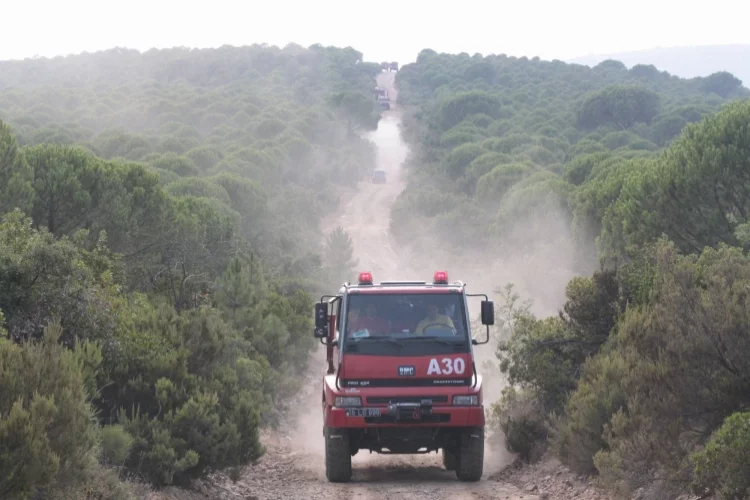 Yalova Valiliği Orman Yangınlarına Yönelik Tedbir Alacak
