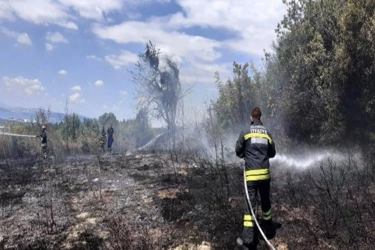 5 Dönümlük Ormanlık Alanda Çıkan Yangın Söndürüldü  